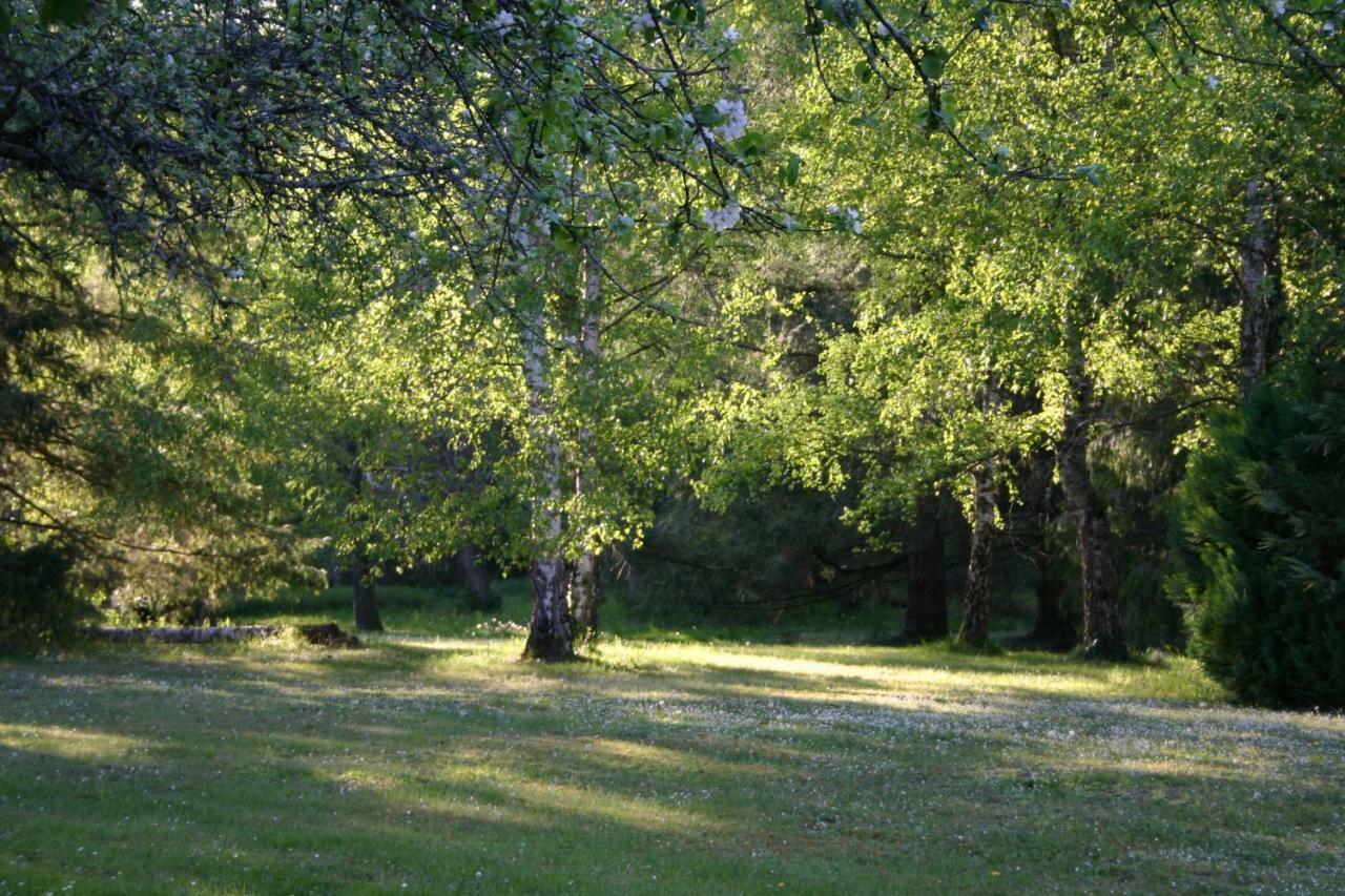 Les Charlotieres Villa Chailles  Exteriör bild