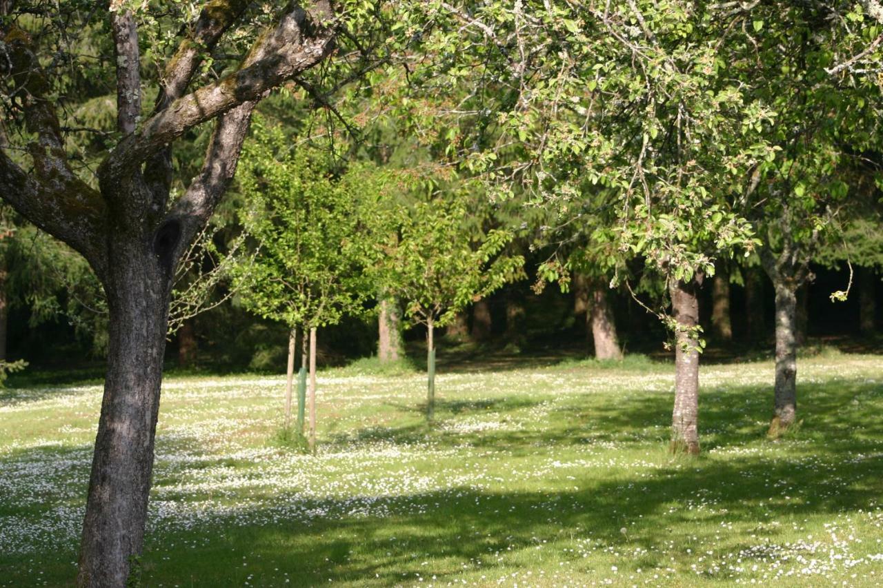 Les Charlotieres Villa Chailles  Exteriör bild